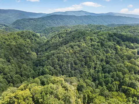 tbd Earth Rd, Meadowview, VA 24361 photo 8