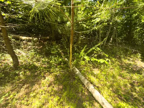 tbd Clito Rd, Fries, VA 24330 photo 6