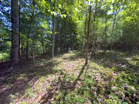 tbd Clito Rd, Fries, VA 24330 photo 11