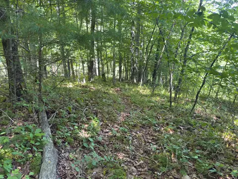 tbd Clito Rd, Fries, VA 24330 photo 10