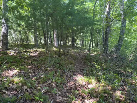 tbd Clito Rd, Fries, VA 24330 photo 9