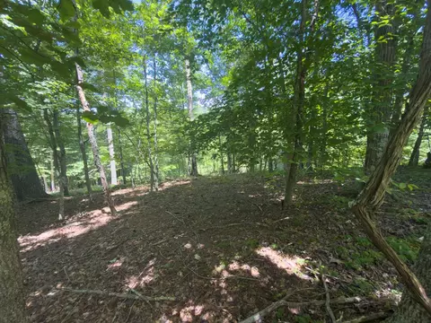 tbd Clito Rd, Fries, VA 24330 photo 12