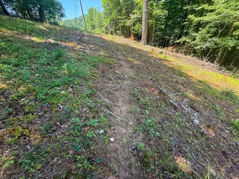 tbd Clito Rd, Fries, VA 24330 photo 14