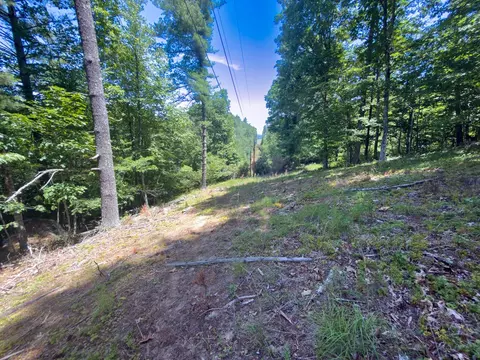 tbd Clito Rd, Fries, VA 24330 photo 13