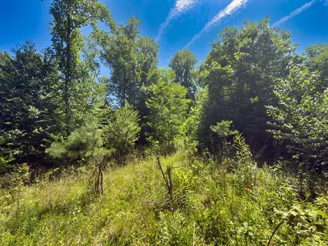 tbd Clito Rd, Fries, VA 24330 photo 8