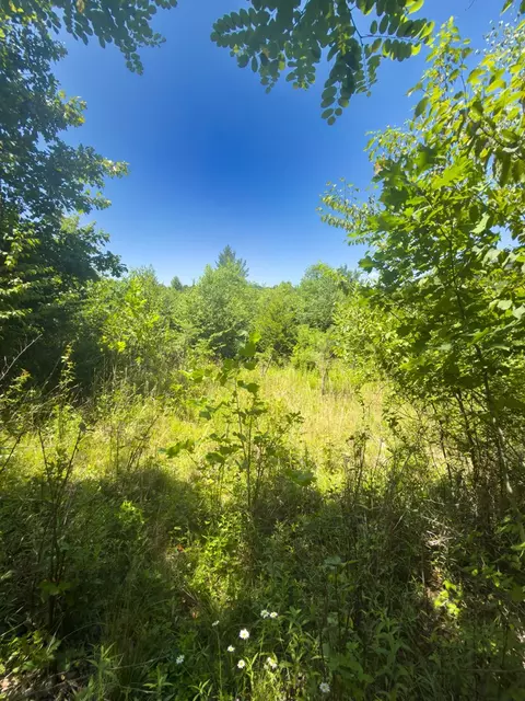 tbd Clito Rd, Fries, VA 24330 photo 7