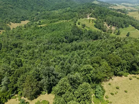 tbd Clito Rd, Fries, VA 24330 photo 18