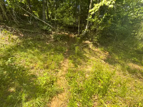 tbd Clito Rd, Fries, VA 24330 photo 5