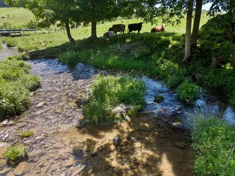 tbd Foglesong Rd Birch Grove Rd, Ceres, VA 24318