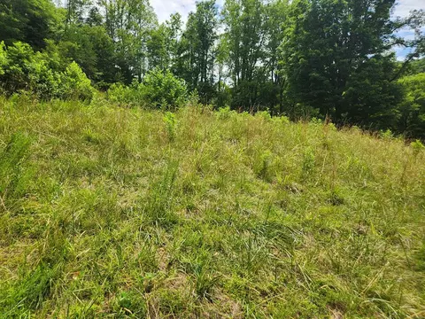 28 Griffith Hill Rd, Ferrum, VA 24088 photo 1