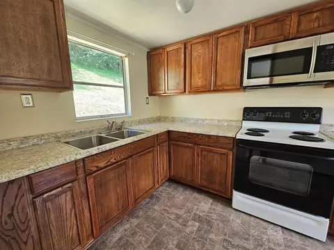 230 W Hurt Buggy Rd, Cedar Bluff, VA 24609 photo 3