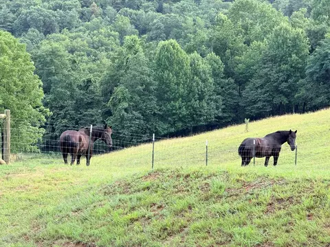 Other - 72 Fox Glen Rd, Fancy Gap, VA 24328 photo 12 of 12