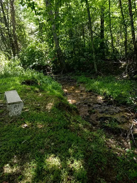 Other - 72 Fox Glen Rd, Fancy Gap, VA 24328 photo 4 of 12