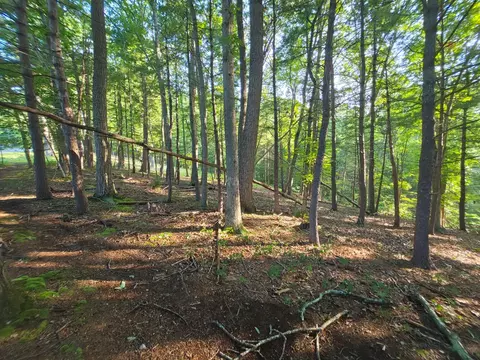 tbd Shady Forest Rd, Max Meadows, VA 24360 photo 5