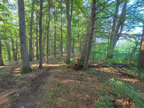 tbd Shady Forest Rd, Max Meadows, VA 24360 photo 2