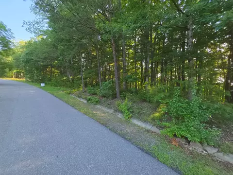 tbd Shady Forest Rd, Max Meadows, VA 24360 photo 4