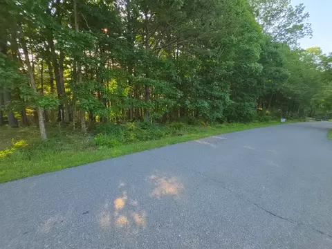 tbd Shady Forest Rd, Max Meadows, VA 24360 photo 3