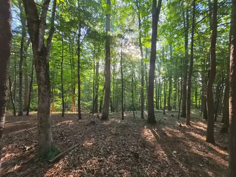 tbd Shady Forest Rd, Max Meadows, VA 24360 photo 6