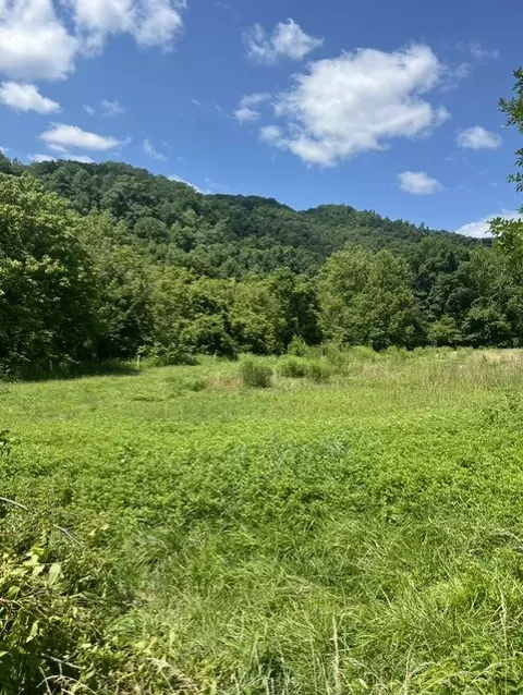 tbd N Fork River Rd, Abingdon, VA 24210 photo 2