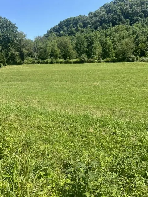 tbd N Fork River Rd, Abingdon, VA 24210 photo 12