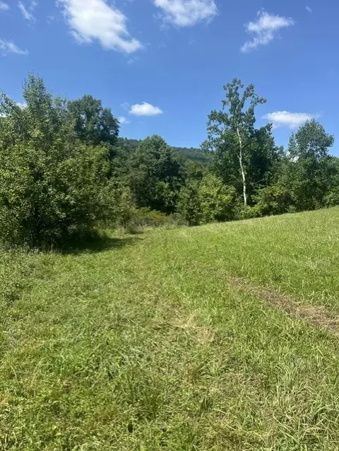 tbd N Fork River Rd, Abingdon, VA 24210 photo 14