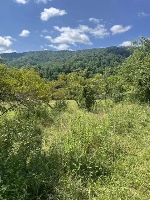 tbd N Fork River Rd, Abingdon, VA 24210 photo 13
