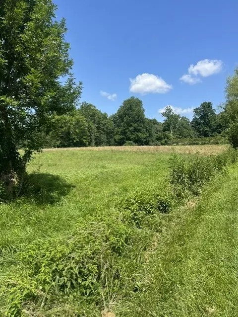 tbd N Fork River Rd, Abingdon, VA 24210 photo 10