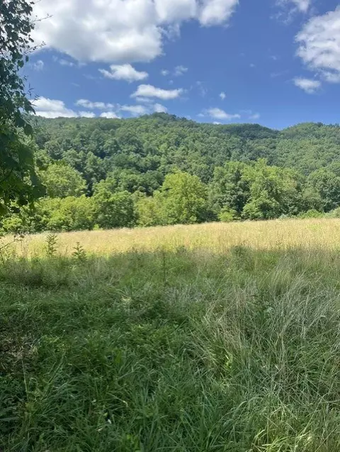 tbd N Fork River Rd, Abingdon, VA 24210 photo 5