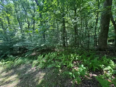 Exterior - 2132 Cascade Tr, Fancy Gap, VA 24328 photo 16 of 22