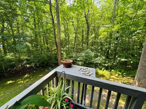 Other - 2132 Cascade Tr, Fancy Gap, VA 24328 photo 7 of 7