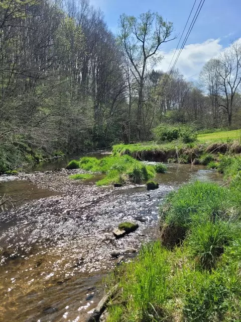 View/Area - 6048 Clearfork Rd, Bastian, VA 24314 photo 2 of 3