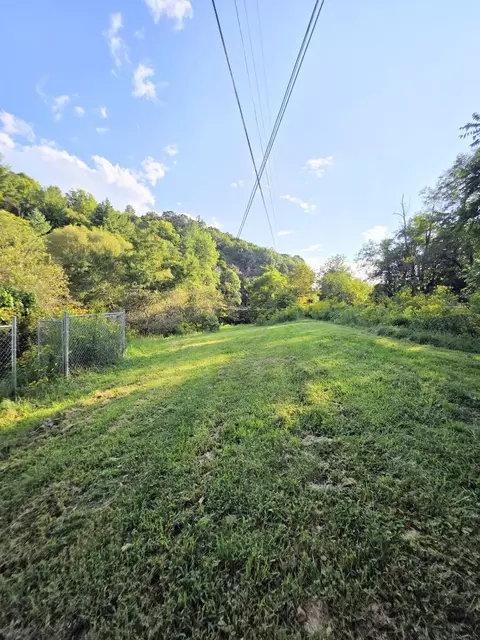 Exterior - 6048 Clearfork Rd, Bastian, VA 24314 photo 4 of 4