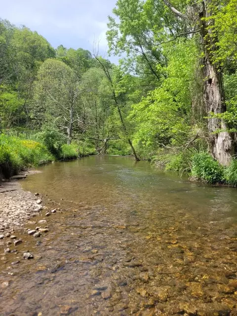 View/Area - 6048 Clearfork Rd, Bastian, VA 24314 photo 3 of 3