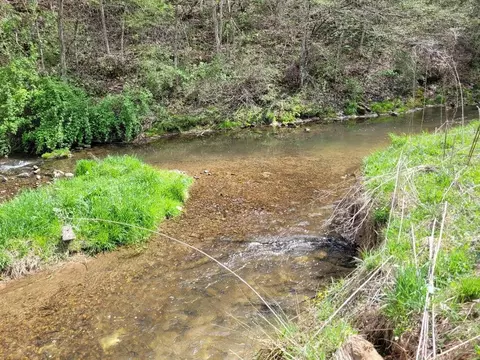 View/Area - 6048 Clearfork Rd, Bastian, VA 24314 photo 1 of 3