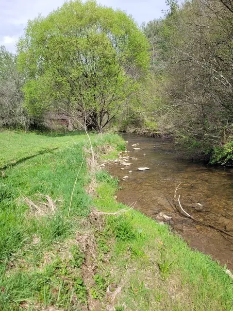 Other - 6048 Clearfork Rd, Bastian, VA 24314 photo 2 of 4