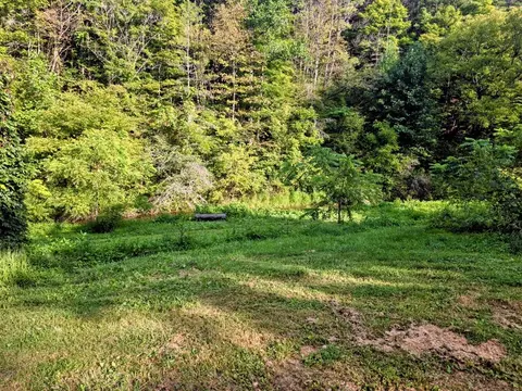 Exterior - 6048 Clearfork Rd, Bastian, VA 24314 photo 3 of 4