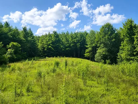 tbd Link Rd, Galax, VA 24333 photo 5