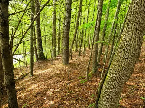 tbd Link Rd, Galax, VA 24333 photo 8