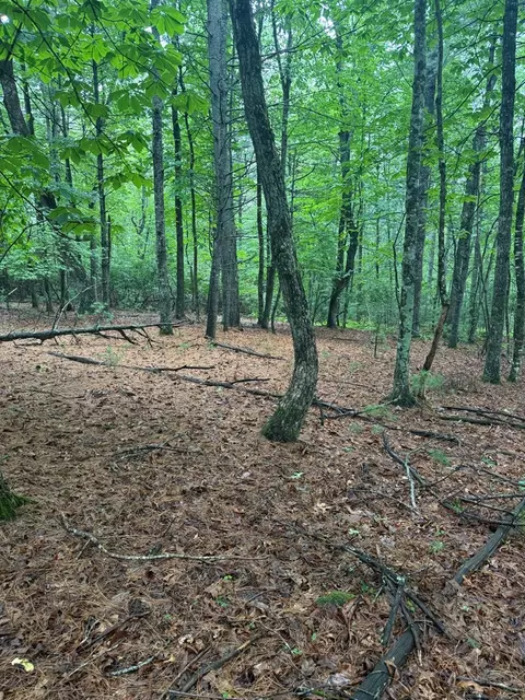 tbd Fox Spring Ln, Galax, VA 24333 photo 3