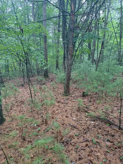 tbd Fox Spring Ln, Galax, VA 24333 photo 5
