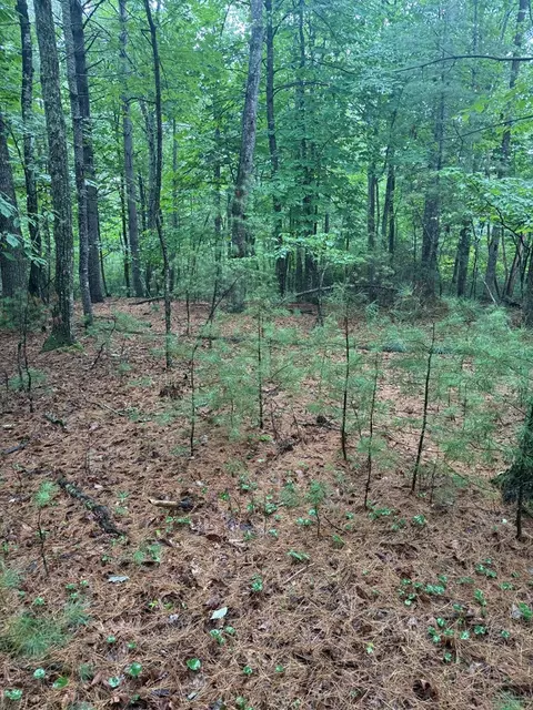 tbd Fox Spring Ln, Galax, VA 24333 photo 7