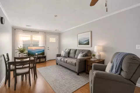 Living - 360 Trigg St, Abingdon, VA 24210 photo 1 of 2