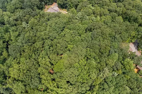 tbd Laurel Way, Fancy Gap, VA 24328 photo 10