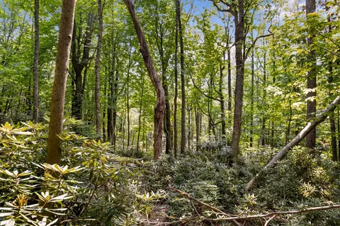 tbd Laurel Way, Fancy Gap, VA 24328 photo 3