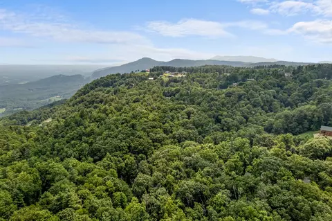 tbd Laurel Way, Fancy Gap, VA 24328 photo 18