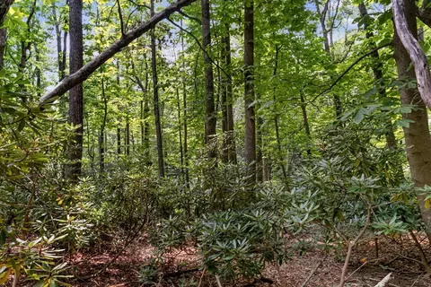tbd Laurel Way, Fancy Gap, VA 24328 photo 6
