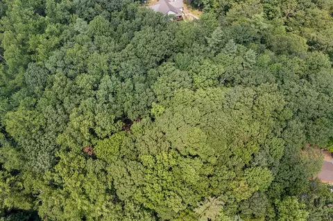 tbd Laurel Way, Fancy Gap, VA 24328 photo 15
