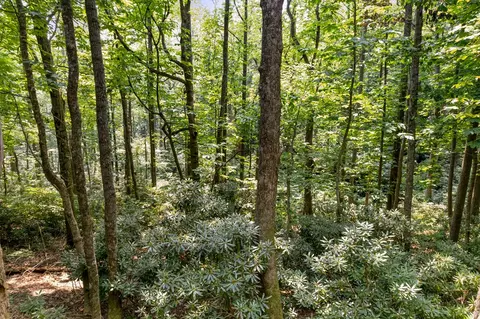 tbd Laurel Way, Fancy Gap, VA 24328 photo 4