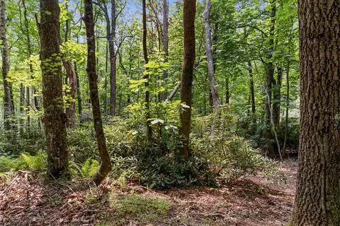 tbd Laurel Way, Fancy Gap, VA 24328 photo 5