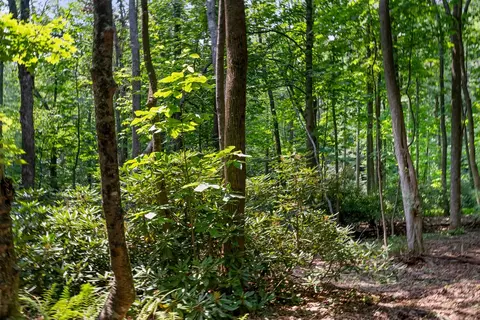 tbd Laurel Way, Fancy Gap, VA 24328 photo 8
